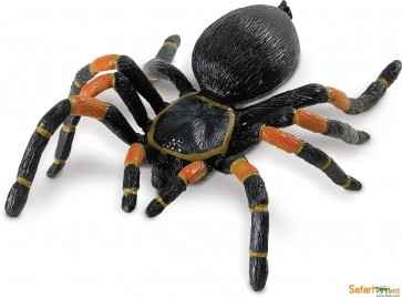 Figūra zirneklis Tarantuls Orange-kneed