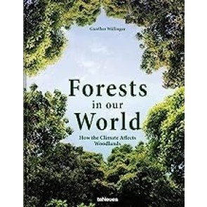 Forests in Our World: How the Climate Affects Woodlands