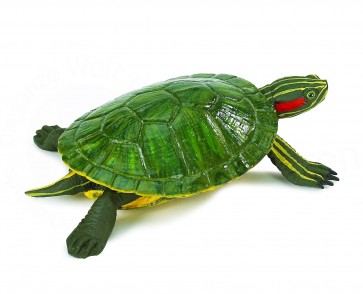 Figūra Sarkanausu Bruņurupucis