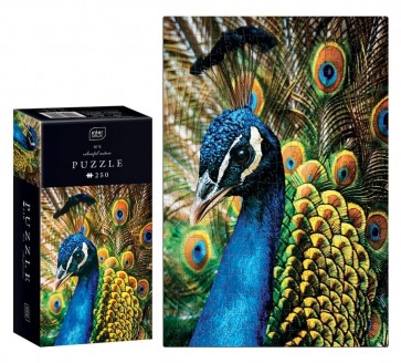 Puzle 250 Colourful Nature: Peacock